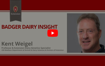 ▶️ Watch: Selection of dairy cows for consistent performance under predictable conditions