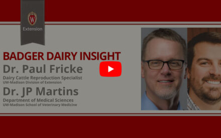 ▶️ Watch: Strategies for improving reproduction in dairy herds