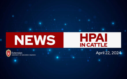 Newly added HPAI resources for Wisconsin dairy farmers