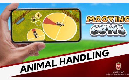 Mooving Cows: Learn basic cow handling skills to stay safe and keep cows calm