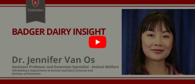 ▶️ Watch: Strategies for keeping calves cool in hutches
