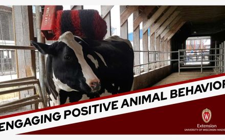 🎧 LISTEN: Engaging Positive Animal Behavior