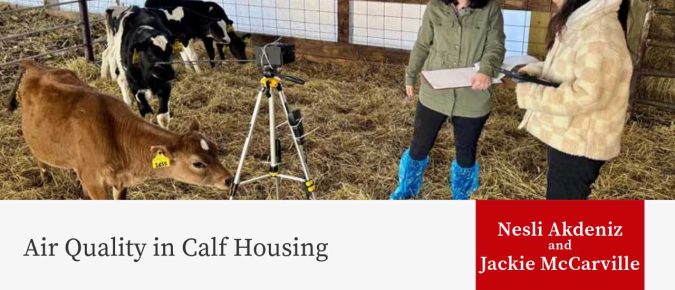 Air Quality in Calf Housing