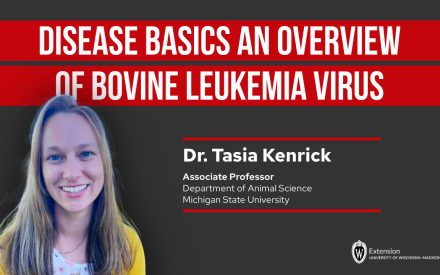 Disease Basics An Overview of Bovine Leukemia Virus
