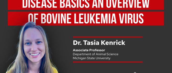 Disease Basics An Overview of Bovine Leukemia Virus