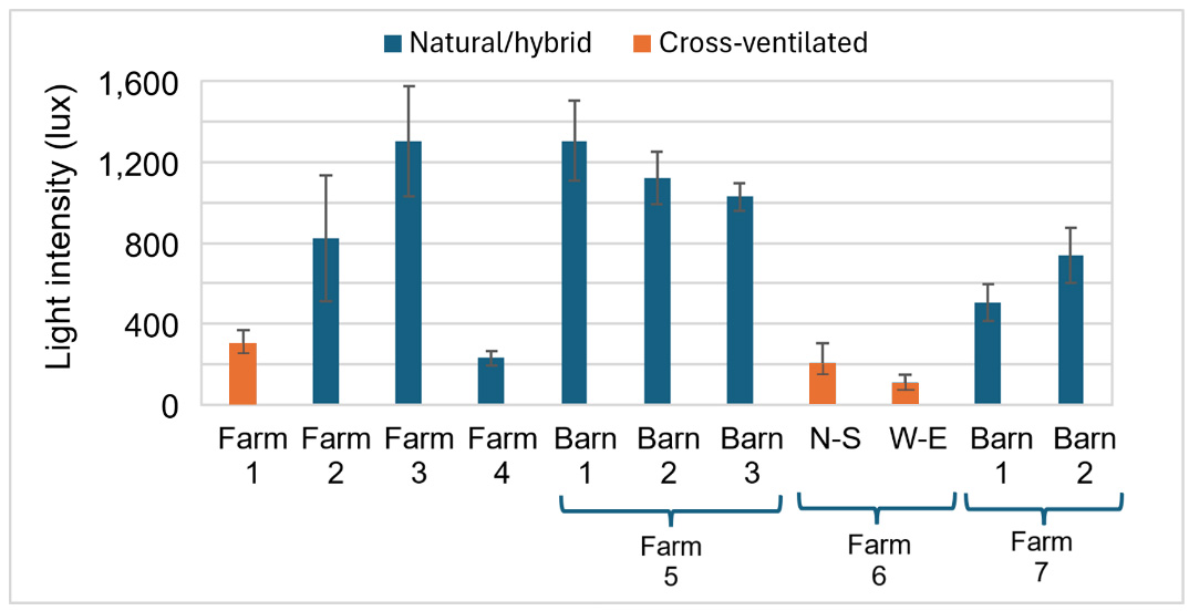 Bar chart comparing light intensity in natural/hybrid vs cross-ventilated buildings across 7 farms, showing natural/hybrid consistently higher.